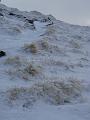 Scotland Dec 09 023